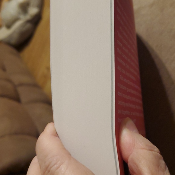 Just for the Summer -- Abby Jimenez - Picture 3 of 4